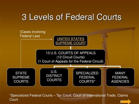 federal court records